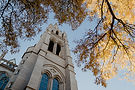 CathedralWeddingsLenaHallPhotography-13.jpg